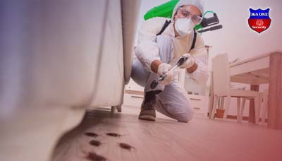 Pest Control Services