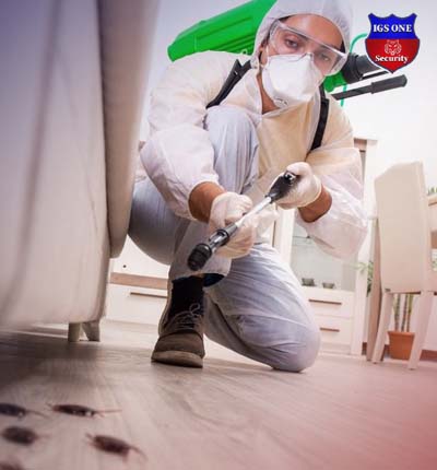 Pest Control Services